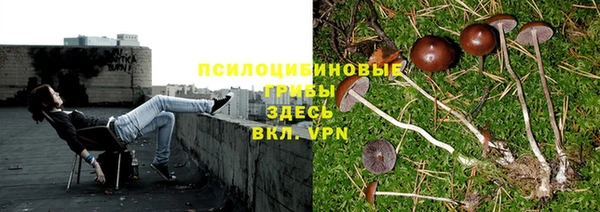 MESCALINE Алексеевка