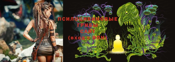 a pvp Алексин