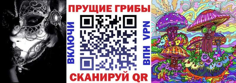 купить наркотики сайты  Люберцы  Галлюциногенные грибы мицелий 