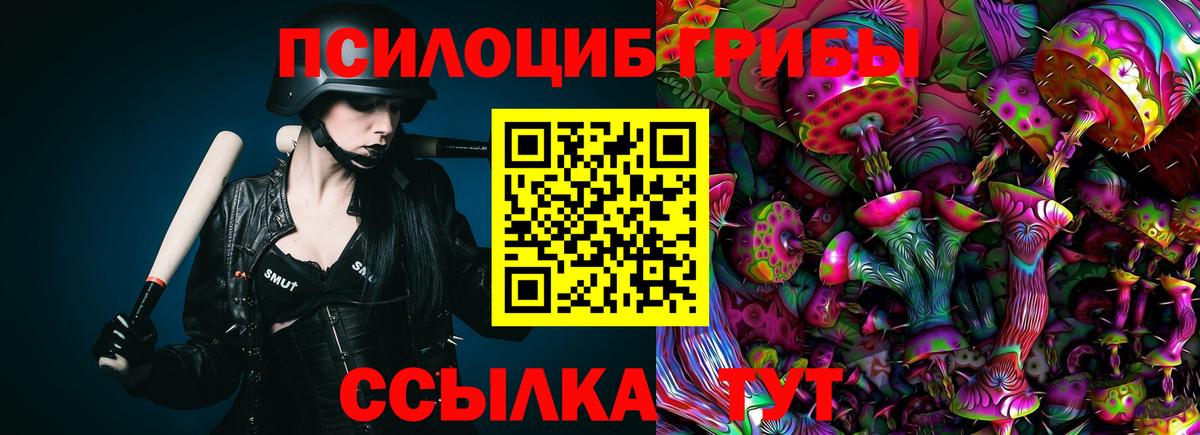 Псилоцибиновые грибы Psilocybe  Вход с VPN  Люберцы  Псилоцибиновые грибы GOLDEN TEACHER 